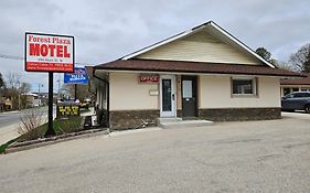 Forest Plaza Motel